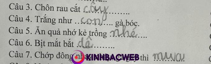 Những câu trả lời đầy sáng tạo và hồn nhiên của học trò.