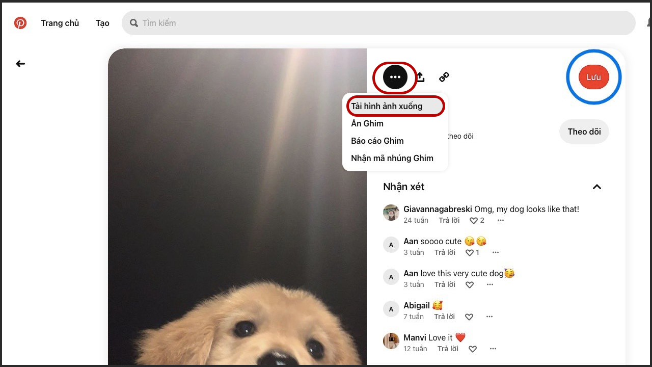 Cách lưu ảnh trên Pinterest