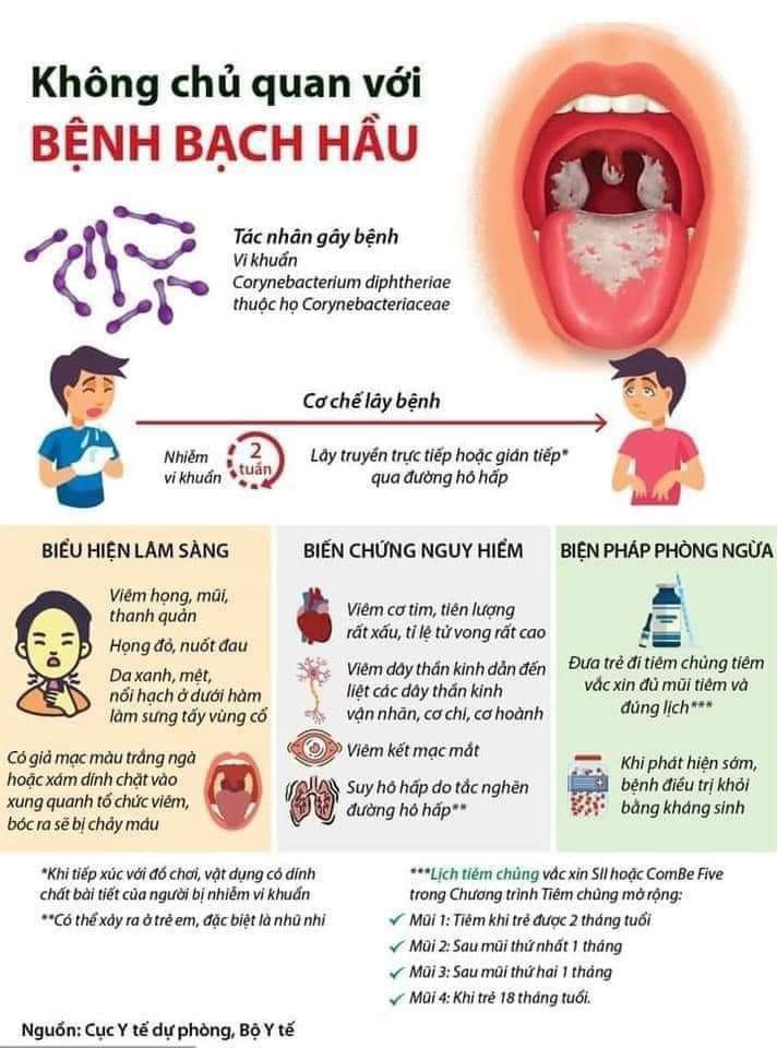 Đặc điểm, nguyên nhân, triệu chứng, đường lây truyền, cách phòng chống bệnh bạch hầu- Ảnh 2.