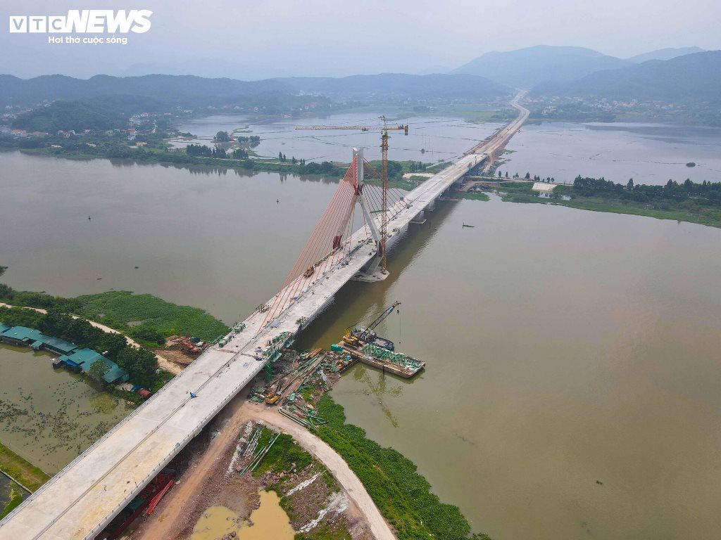 Ngam Cay Cau Day Vang Lon Nhat Tinh Bac Giang Truoc Ngay Thong Xe 25137 2