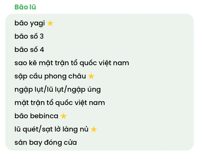 Bao lu Q3 2024.png