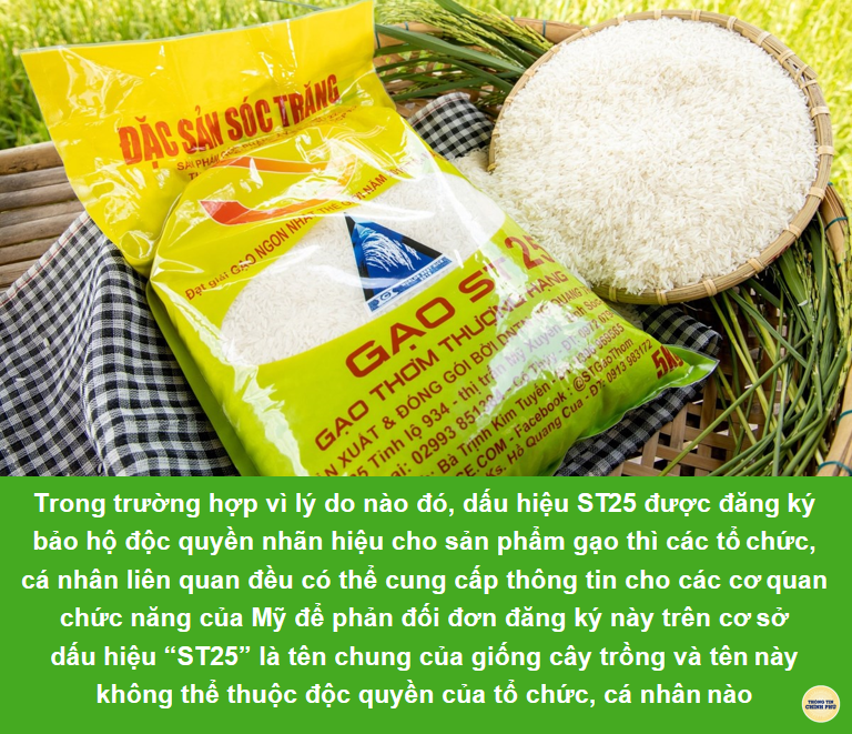 Check nhanh thông tin thuế cá nhân với các cách Tra cứu mã số thuế cá nhân nhanh nhất năm 2025